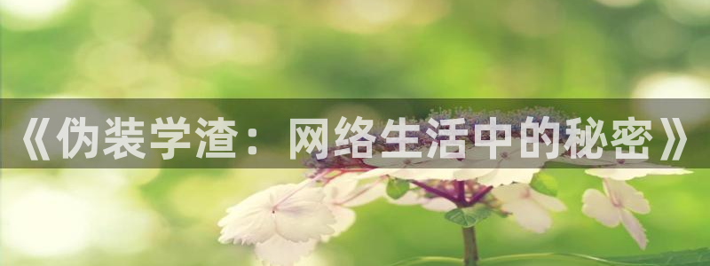 漫蛙manwa2免费漫：《伪装学渣：网络生活中的秘密》
