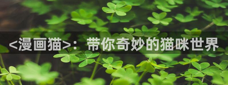 漫蛙2下载：<漫画猫>：带你奇妙的猫咪世界