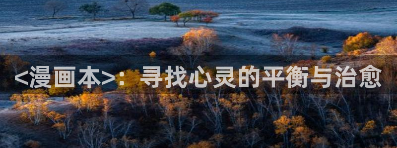 漫蛙漫画app下载安装：<漫画本>：寻找心灵的平衡与治愈