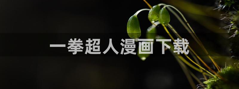 漫蛙防走失站：一拳超人漫画下载