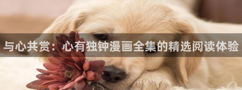 漫蛙网址在线：与心共赏：心有独钟漫画全集的精选阅读体验