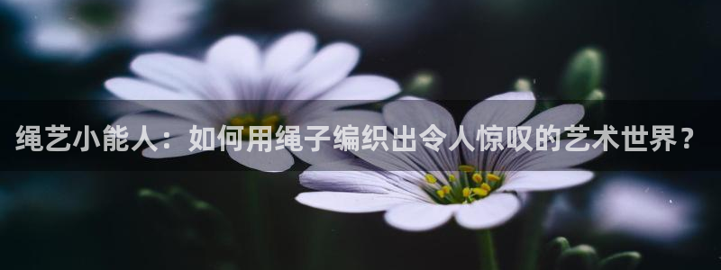 漫蛙网页版免费进入2025：绳艺小能人：如何用绳子编织出令人惊叹的艺术世界？