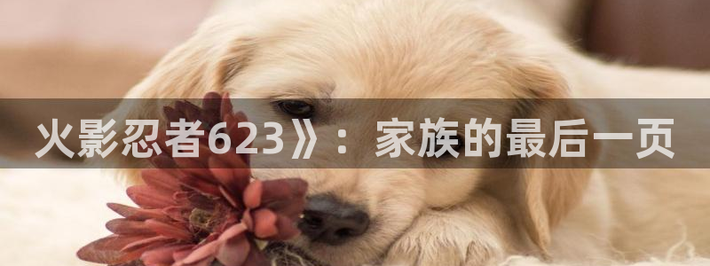 漫蛙漫画(网页入口)官网版：火影忍者623》：家族的最后一页